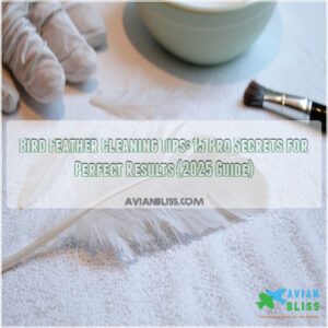 bird feather cleaning tips