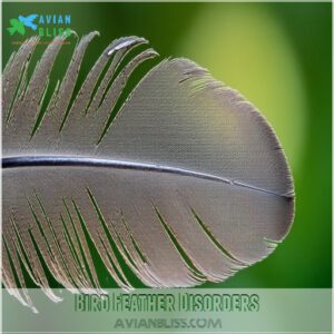 Bird Feather Disorders