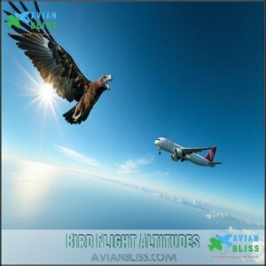 Bird Flight Altitudes