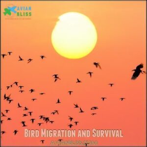 Bird Migration and Survival