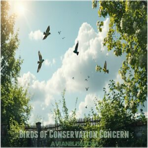 Birds of Conservation Concern