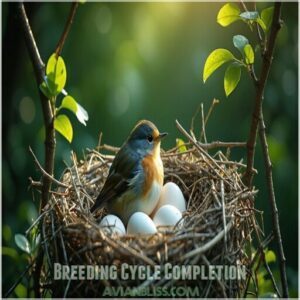 Breeding Cycle Completion