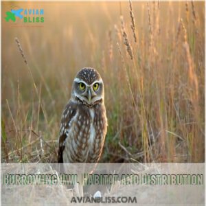 Burrowing Owl Habitat and Distribution