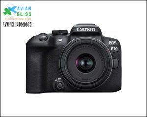 Canon EOS R10 Mirrorless Camera