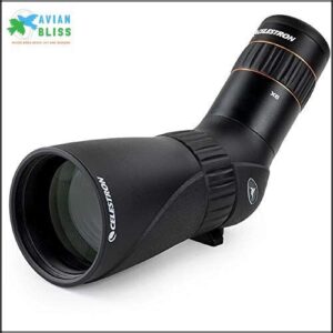 Celestron – Hummingbird 56mm Angled