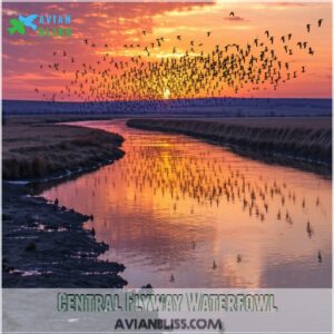 Central Flyway Waterfowl