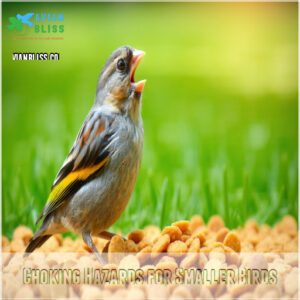 Choking Hazards for Smaller Birds