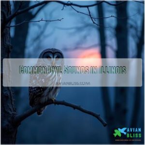 Common Owl Sounds in Illinois