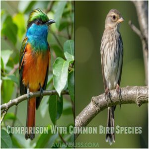 Comparison With Common Bird Species