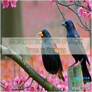 Conservation Status of Black Birds in Virginia