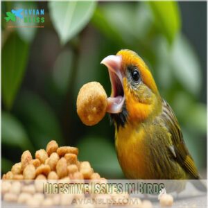 Digestive Issues in Birds