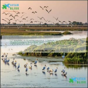 Djoudj National Bird Sanctuary