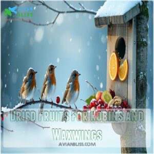 Dried Fruits for Robins and Waxwings