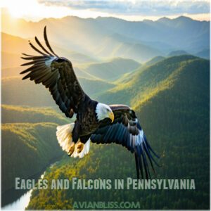 Eagles and Falcons in Pennsylvania