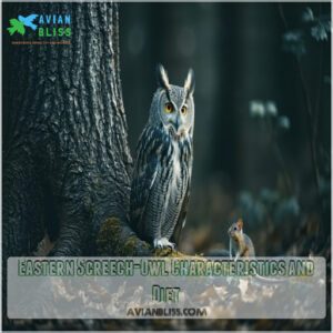 Eastern Screech-Owl Characteristics and Diet