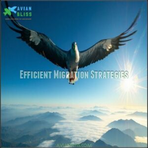 Efficient Migration Strategies