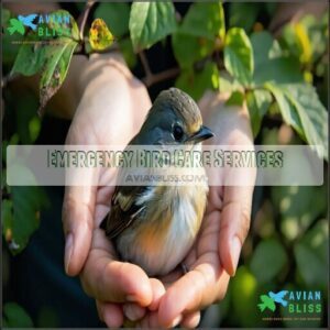 Emergency Bird Care Services