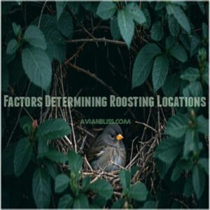 Factors Determining Roosting Locations