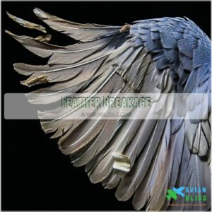 Feather Breakage