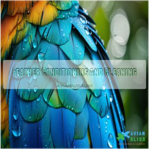 Feather Conditioning and Cleaning