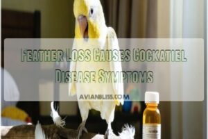 feather loss causes cockatiel disease