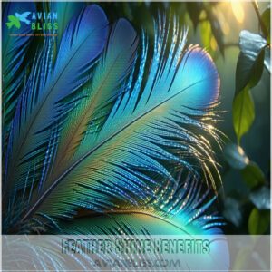 Feather Shine Benefits