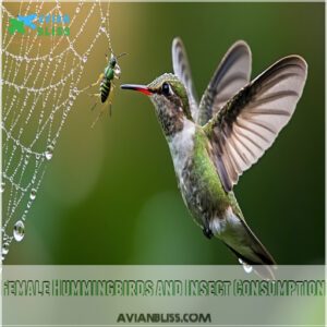 Female Hummingbirds and Insect Consumption