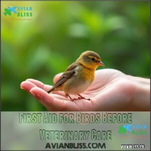 First Aid for Birds Before Veterinary Care