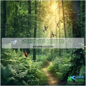 Forest Bird Habitats