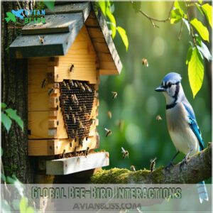 Global Bee-Bird Interactions