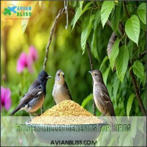 Golden Millet Benefits for Birds