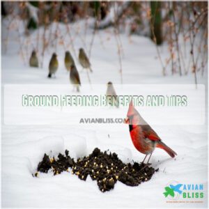 Ground Feeding Benefits and Tips