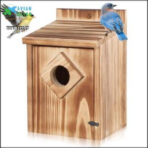 Gtongoko Bird Houses for Outside