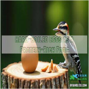 Hard-Boiled Eggs as a Protein-Rich Food