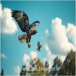 Hawks and Avian Prey