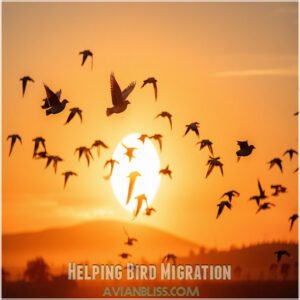 Helping Bird Migration