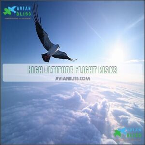 High Altitude Flight Risks