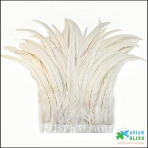 Holmgren Off-White Rooster Feather Trim