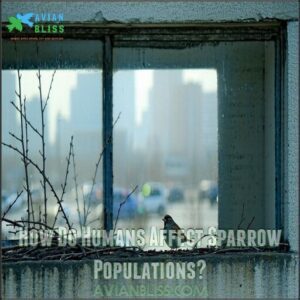 How Do Humans Affect Sparrow Populations