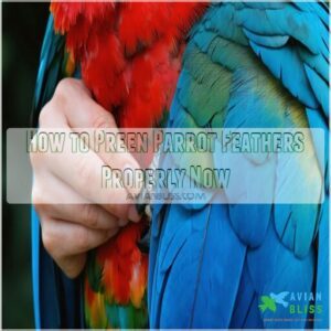 how to preen parrot feathers properly