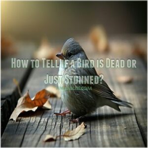 how to tell if a bird is dead or just stunned