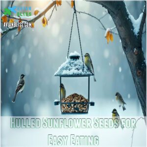 Hulled Sunflower Seeds for Easy Eating