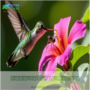 Hummingbird Diet and Nutrition