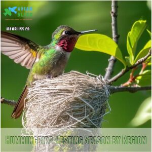 Hummingbird Nesting Season by Region