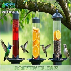 Hummingbirds and Orioles