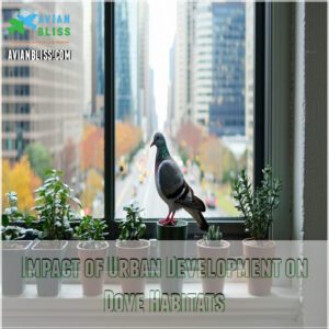 Impact of Urban Development on Dove Habitats