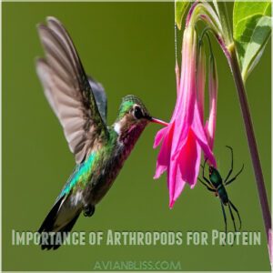 Importance of Arthropods for Protein