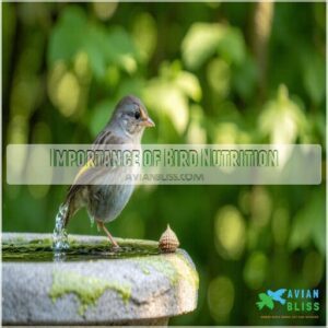 Importance of Bird Nutrition