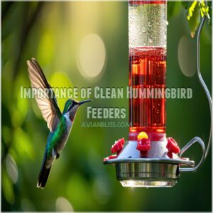 Importance of Clean Hummingbird Feeders