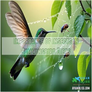 Importance of Insects in Hummingbird Diets